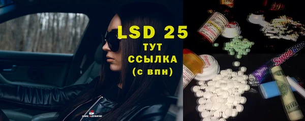 ECSTASY Алзамай