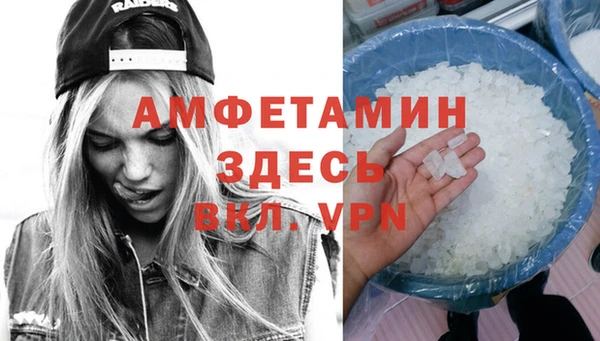 ECSTASY Алзамай