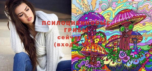 гидропоника Алексин