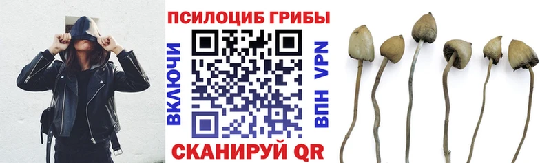 Псилоцибиновые грибы GOLDEN TEACHER  Сухиничи 